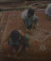 Handknotted Rugs manufacturers india